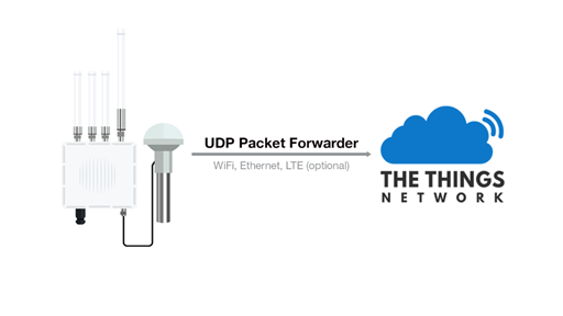 Figure 1: Packet Forwarder