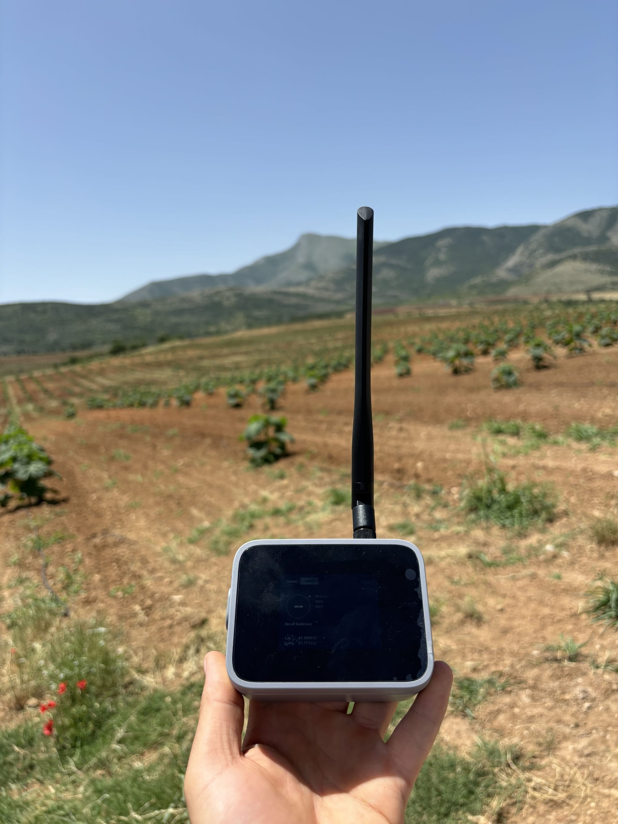 Intelory optimizes LoRaWAN networks with RAK's Field Tester, ensuring ideal placement of gateways and sensors for efficiency.