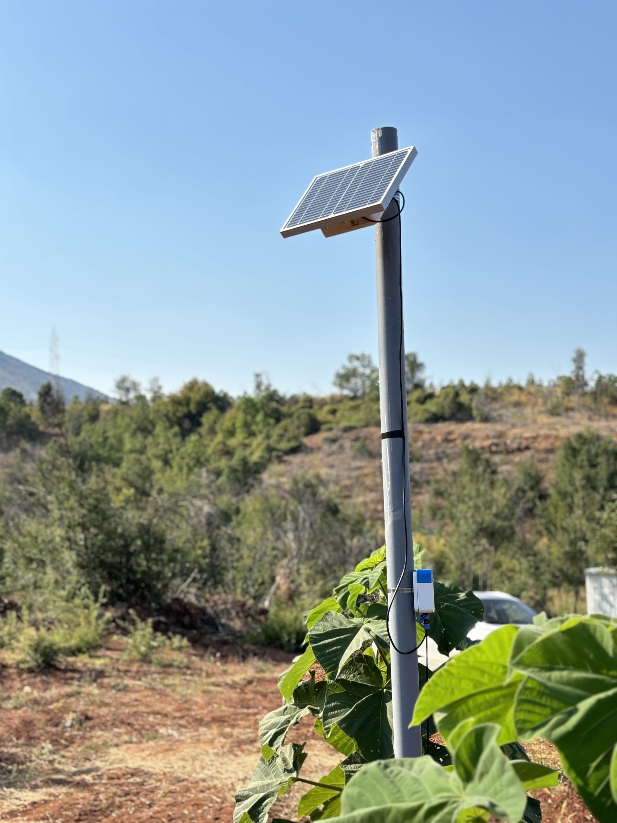 Intelory uses RAK's Sensor Hub, Solar Battery Lite, and RAK9155 for sustainable, off-grid farm management solutions.