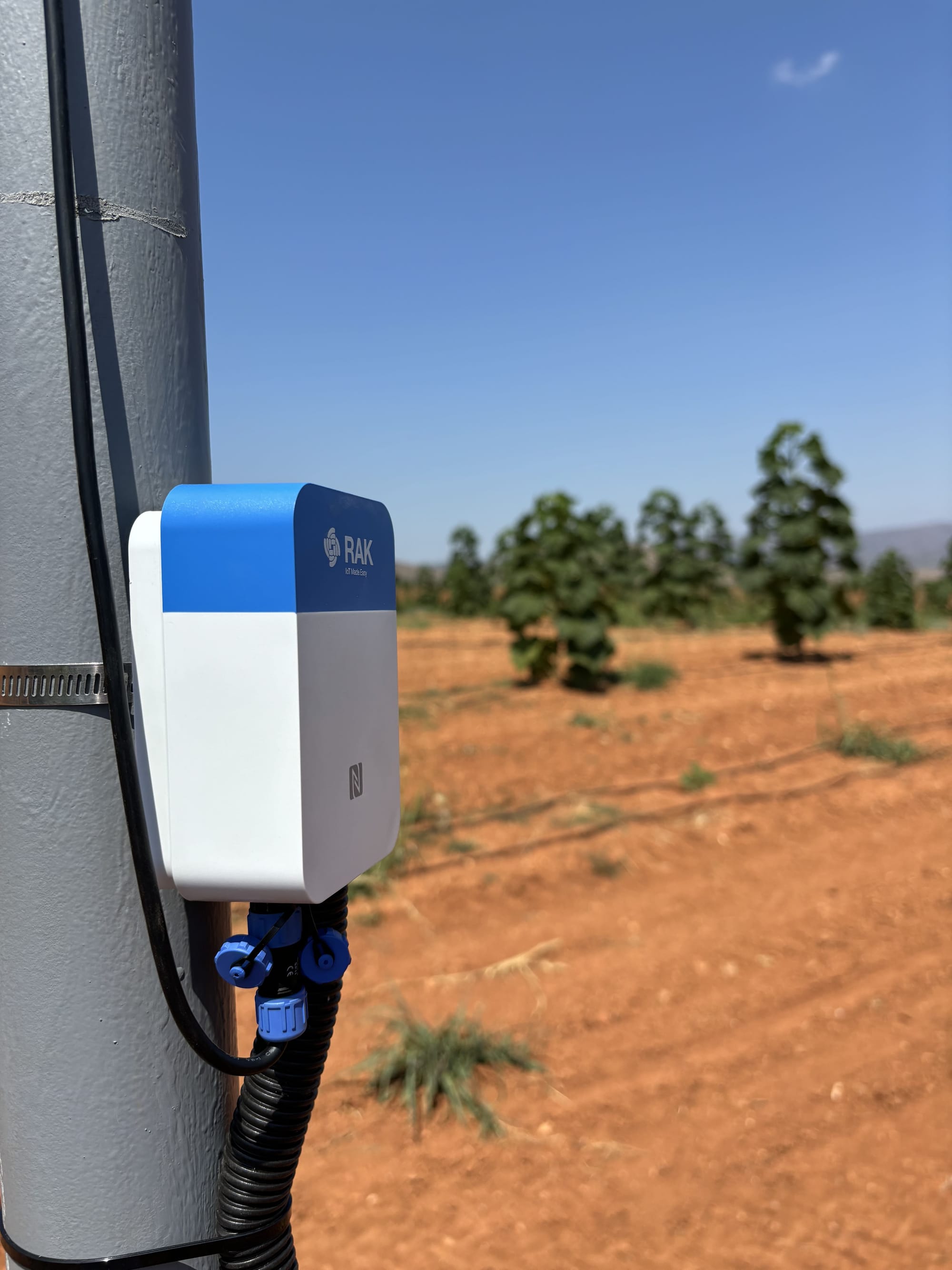 Intelory uses RAK's Sensor Hub, Solar Battery Lite, and RAK9155 for sustainable, off-grid farm management solutions.
