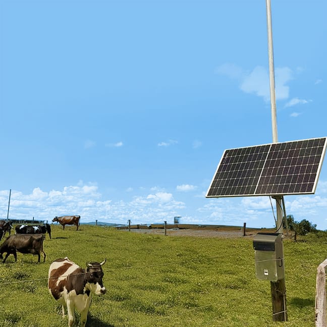 New Module for LoRa®, Real Deployments, Field Tools & Event Invites