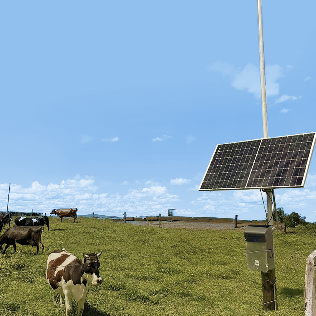 RAK7285 Gateway enables reliable LoRaWAN for livestock tracking in remote Australian and New Zealand farms.