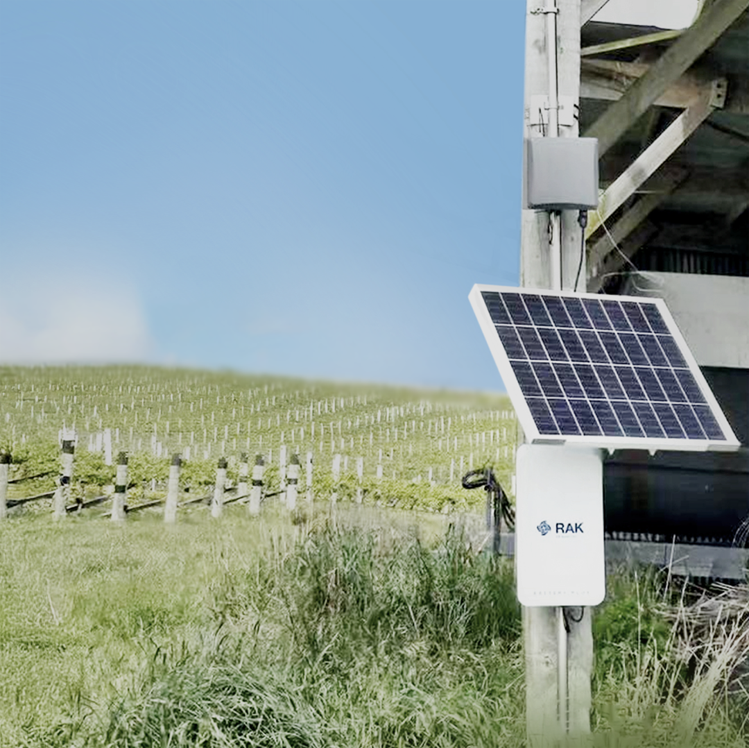 Solar-powered WisGate gateways provide long-range LoRaWAN for smart farming in vineyards across Spain and New Zealand