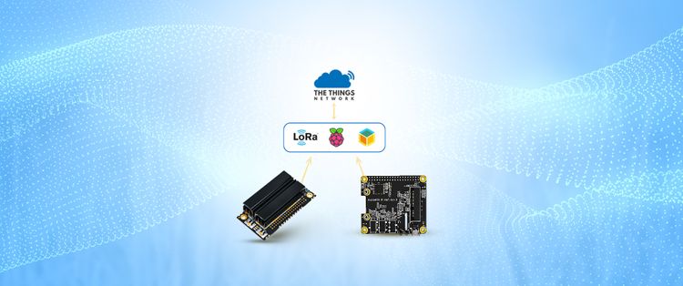 Deploying a RAK Gateway With LoRa Basics™ Station With TTN and Balena