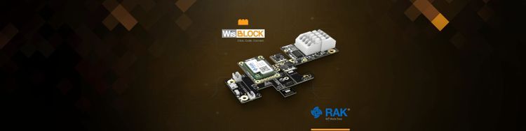 Why We Make WisBlock: The Story Behind RAK’s Modular IoT Platform