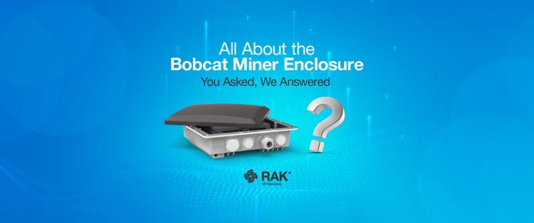 Some Q&A About our Bobcat Enclosure