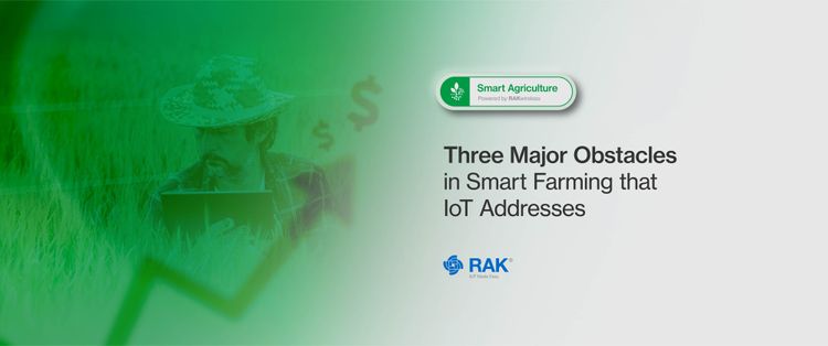 3 Major Obstacles in Smart Farming that IoT Addresses