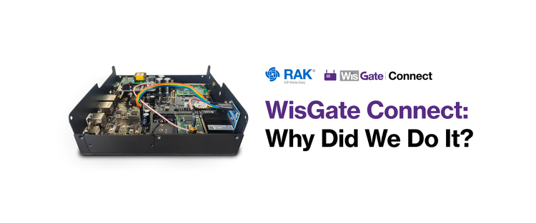 WisGate Connect: Why Did We Do It?