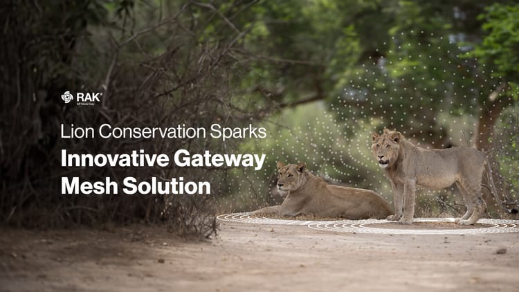 How a Lion Protection Project in Namibia Inspired the Gateway Mesh Solution